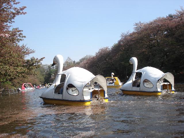 f0084806_93297.jpg