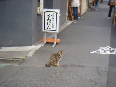 ブログ小休止_c0077407_2317453.jpg