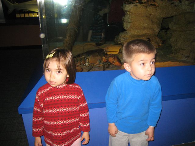 c0079011_9465987.jpg