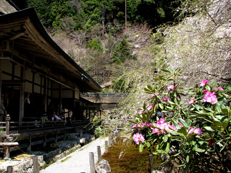 常照皇寺　京北町_e0048413_22532882.jpg