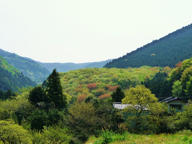 f0182513_11153654.jpg
