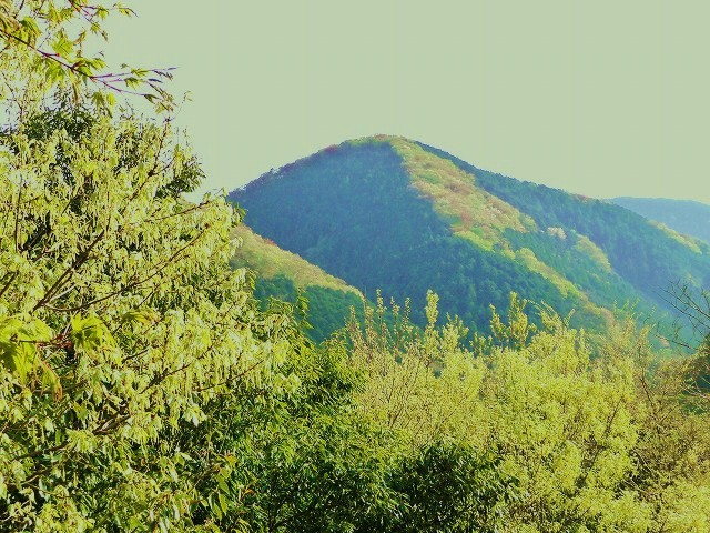 f0182513_9572536.jpg