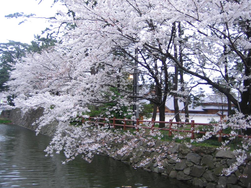 b0145616_1373136.jpg