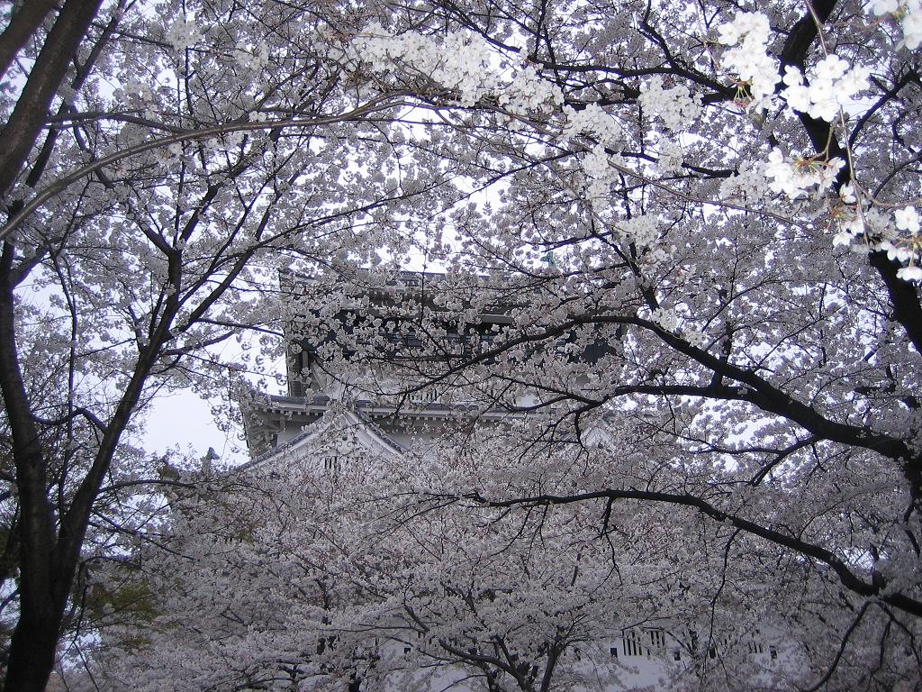 b0145616_1414032.jpg