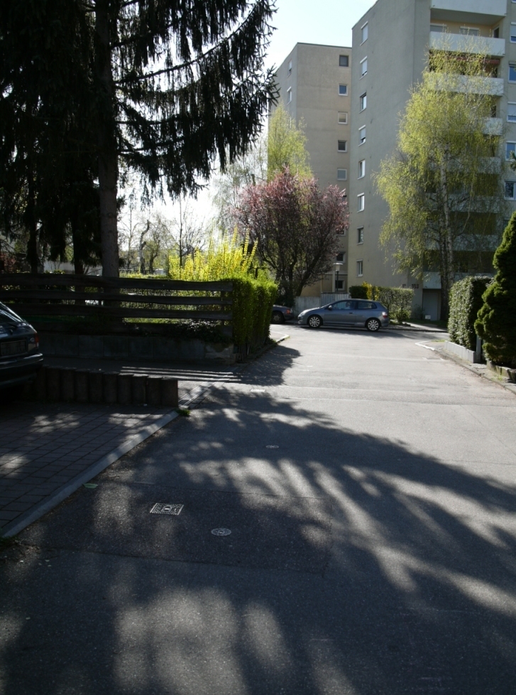 b0148617_17593591.jpg