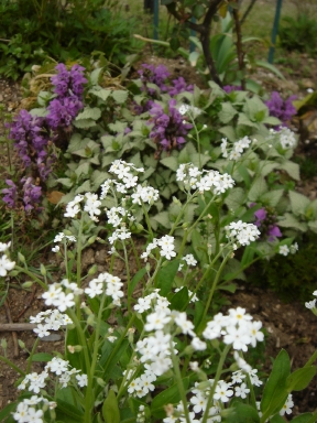 f0054421_75941.jpg