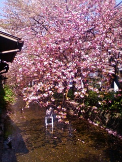 f0083021_2338923.jpg