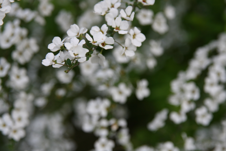 b0132924_20255668.jpg