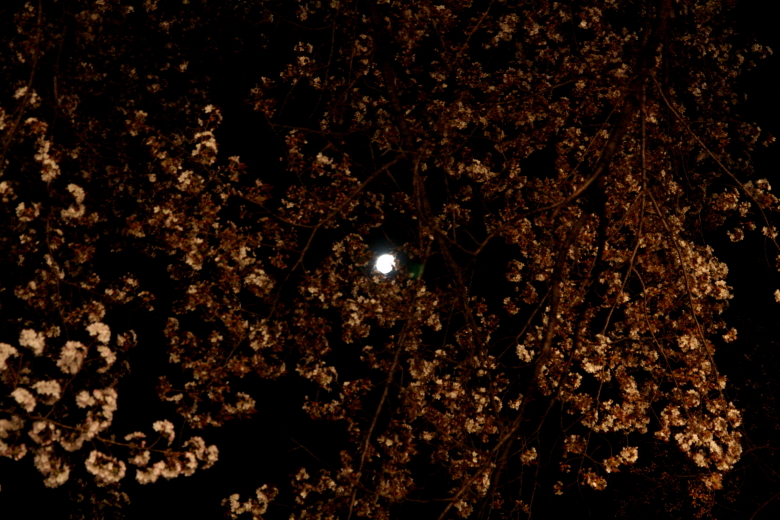 b0132924_20264865.jpg