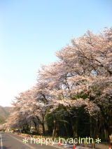 f0168725_1421790.jpg