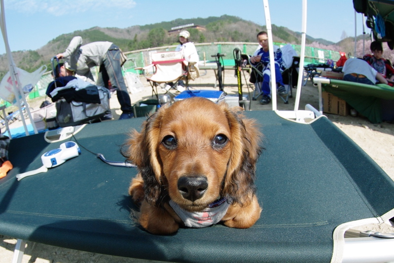 2009広島遠征日記VOL2：４月12日JBMXF開幕戦〜帰還_b0065730_221326100.jpg