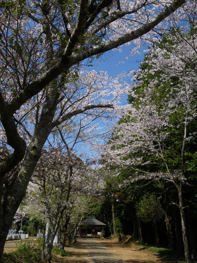c0182231_20353099.jpg