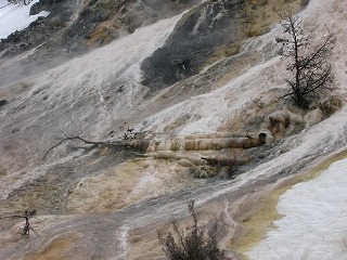 d0122331_8474231.jpg