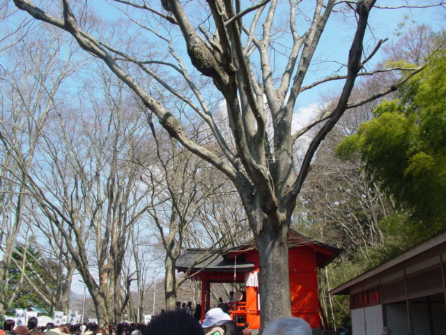 九頭龍神社_e0123238_15383673.jpg