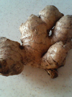 a0116439_1611417.jpg