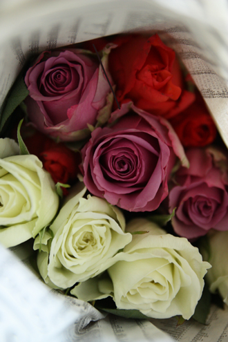 roses_b0148547_835289.jpg