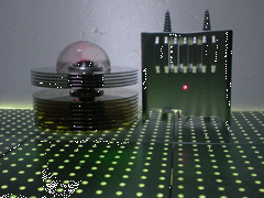 e0005548_23424579.gif