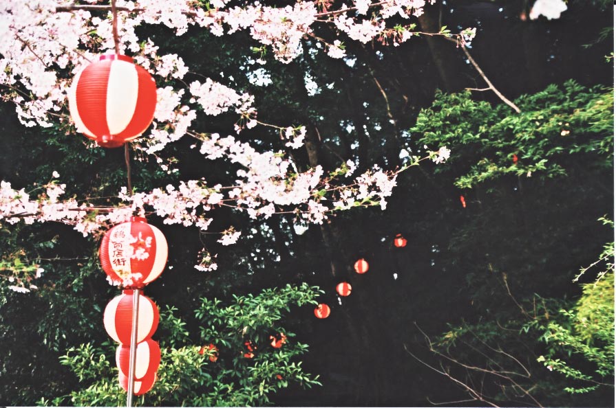 e0156251_0162690.jpg