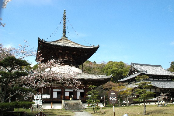 　　根来寺(ねごろじ)　　２０２４-０４-０７　００：００　（１５年前の撮影・記事です）_b0093754_23495375.jpg