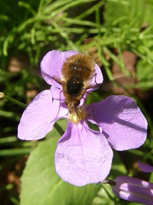 e0064158_018512.jpg