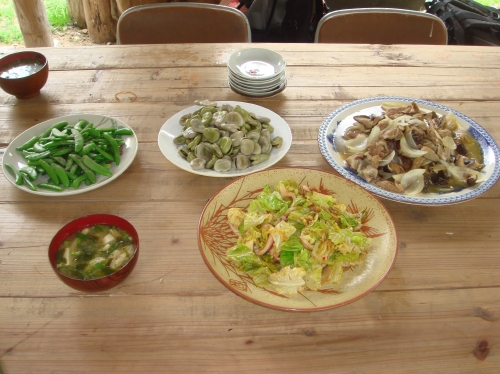 みさき里山クラブ定例活動日…シダ刈り＆植樹_c0108460_2012294.jpg