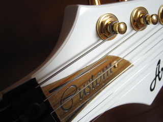 Aria Pro II RS-Jail 2005 : my guitars gallery