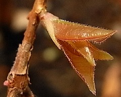 b0169765_1222317.jpg