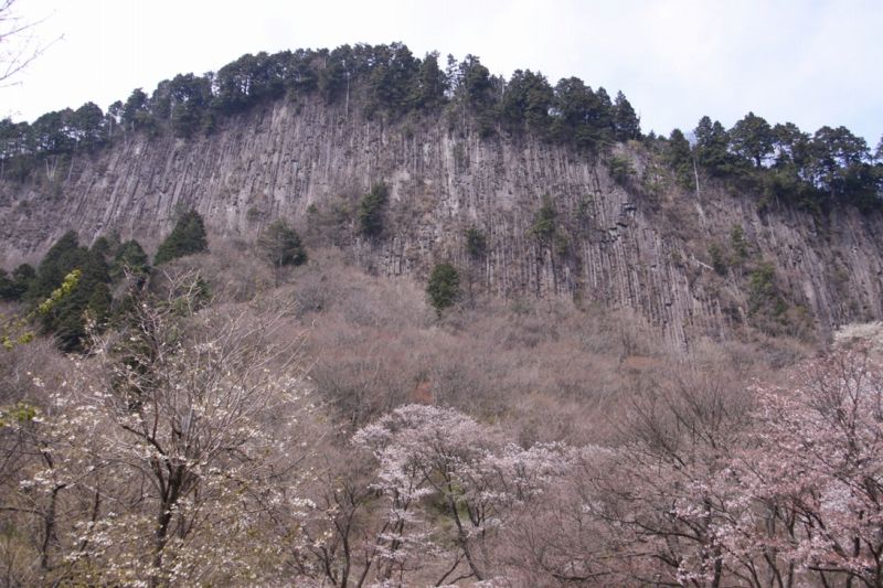 c0185066_89567.jpg