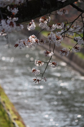 b0055171_2117932.jpg