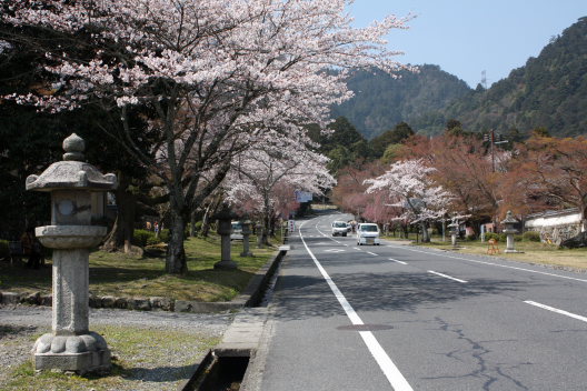 b0055171_21305766.jpg