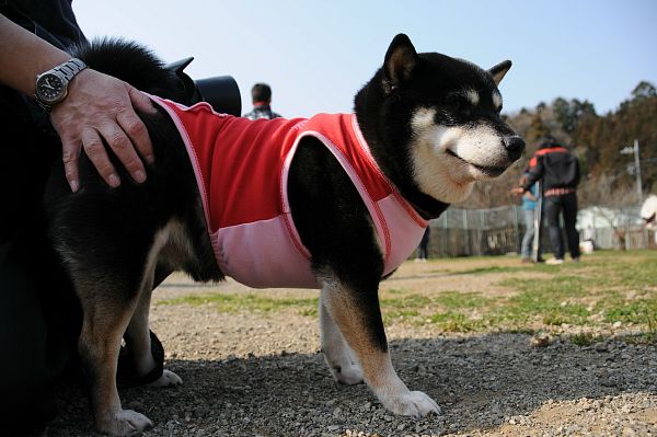 とぶき　200903 50_c0109780_1729993.jpg