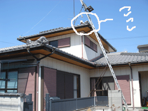 a0039184_14355045.gif