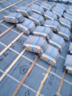 a0039184_14395684.gif