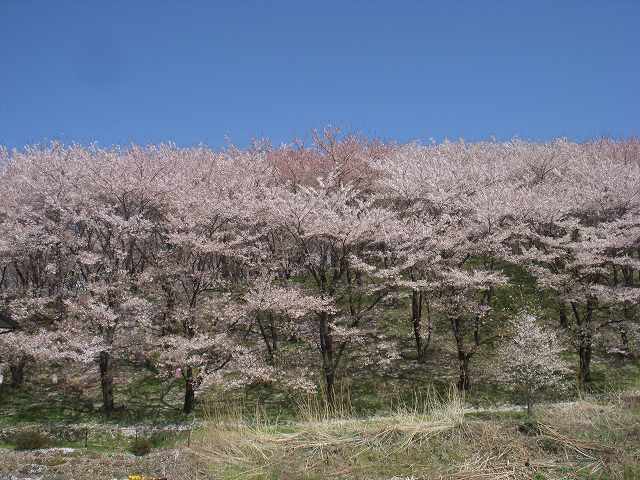 b0112186_034076.jpg