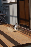 桃源郷を越えて。_d0028589_23303853.jpg