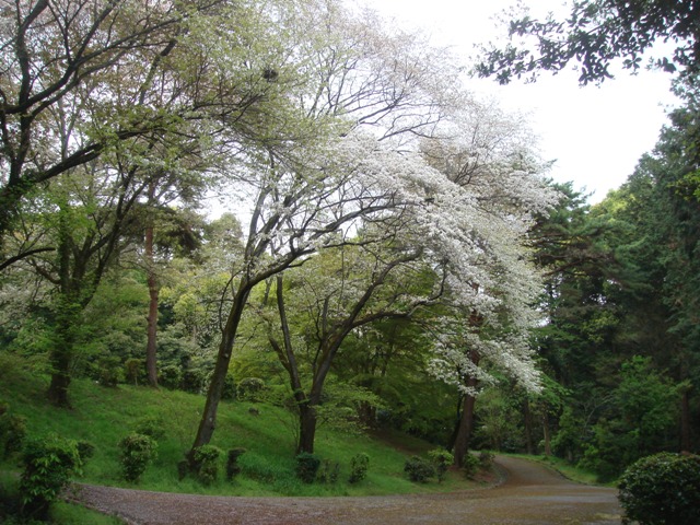 e0111793_22531423.jpg
