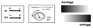 a0051297_2241687.gif
