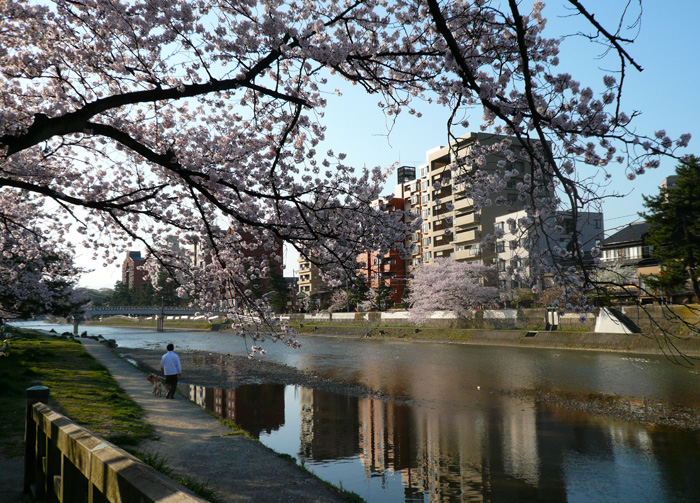 b0158403_16451844.jpg