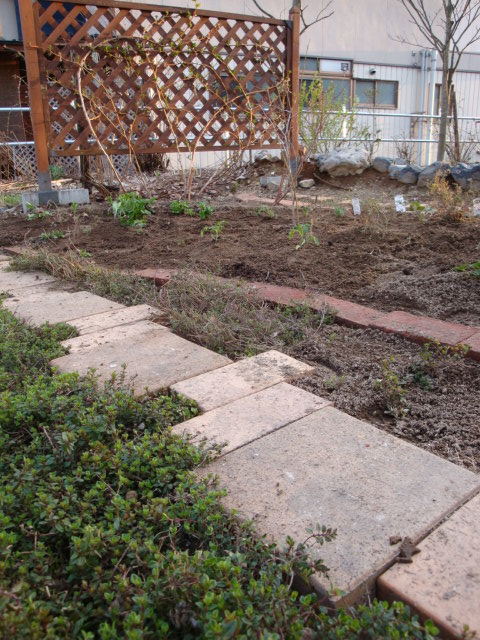 e0175905_2052625.jpg
