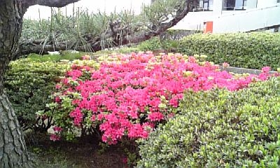 a0063907_22104824.jpg