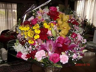 c0090212_013453.jpg