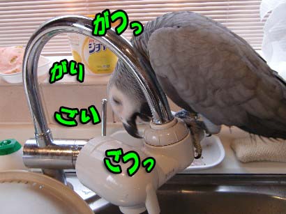 c0133013_13532837.jpg