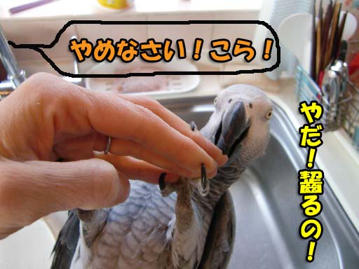 c0133013_1435979.jpg