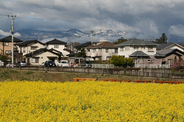 a0087818_17285858.jpg