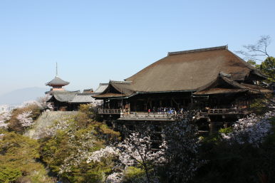 今年の京都の桜♪_f0054428_23522998.jpg