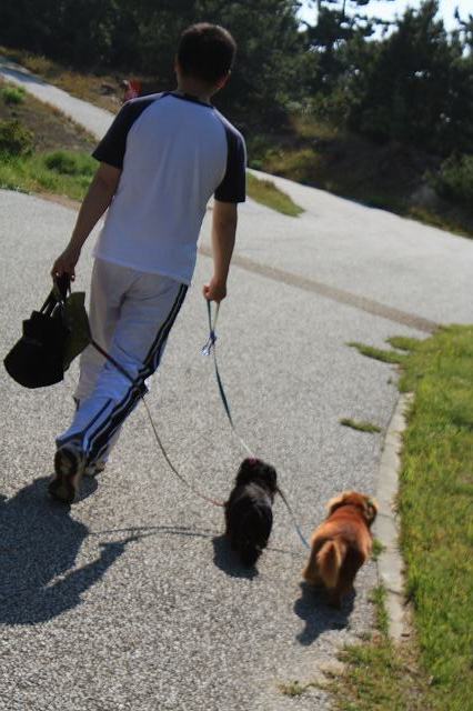 愛犬とおでかけ_c0127029_11325312.jpg