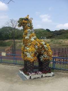 千葉動物公園_d0111129_20342165.jpg