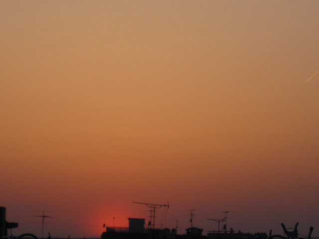 f0180433_15435323.jpg