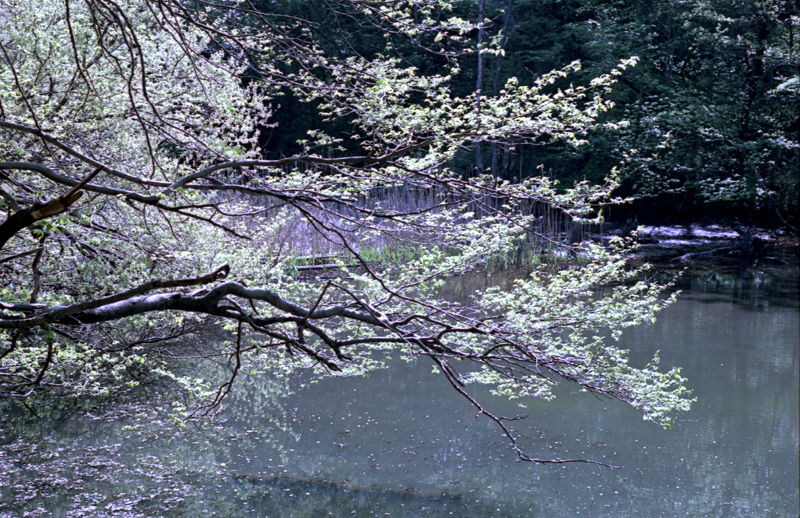 b0158237_10132549.jpg