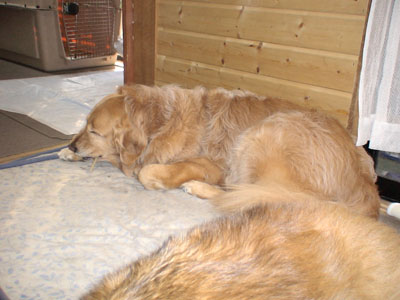 e0023643_22284122.jpg